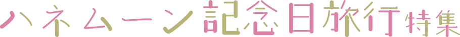 ハネムーン・記念日旅行ロゴ