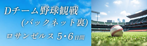 野球観戦ツアー
